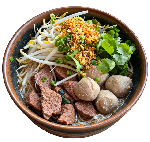 BRAISED BEEF NOODLE SOUP.